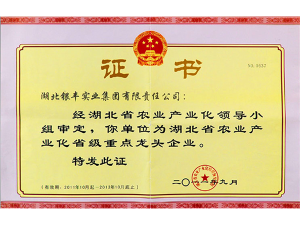 2011年 银丰集团荣获湖北省农业产业化省级重点龙头企业